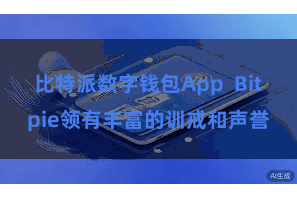 比特派数字钱包App Bitpie领有丰富的训戒和声誉