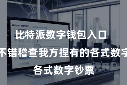 比特派数字钱包入口 用户不错稽查我方捏有的各式数字钞票