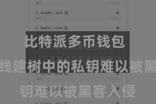 比特派多币钱包 尽管离线建树中的私钥难以被黑客入侵