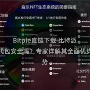 Bitpie直链下载 比特派钱包安全吗？专家详解其全面优势