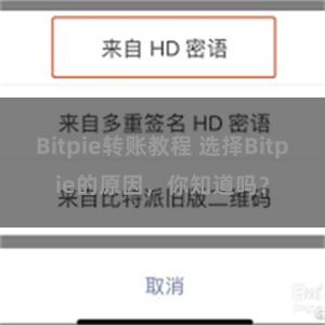 Bitpie转账教程 选择Bitpie的原因，你知道吗？