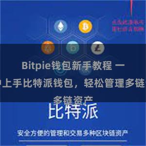 Bitpie钱包新手教程 一分钟上手比特派钱包，轻松管理多链资产