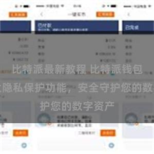 比特派最新教程 比特派钱包：强大隐私保护功能，安全守护您的数字资产