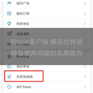 Bitpie客户端 解决比特派钱包使用问题的实用技巧