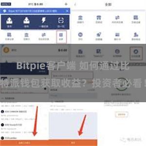 Bitpie客户端 如何通过比特派钱包获取收益？投资者必看！
