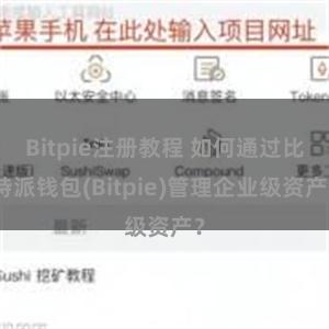 Bitpie注册教程 如何通过比特派钱包(Bitpie)管理企业级资产？