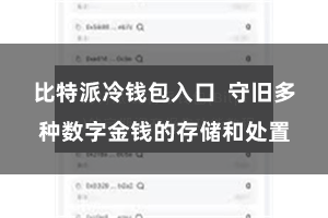 比特派冷钱包入口  守旧多种数字金钱的存储和处置
