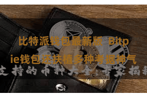 比特派钱包最新版  Bitpie钱包还扶植多种考据神气