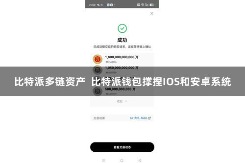 比特派多链资产  比特派钱包撑捏IOS和安卓系统