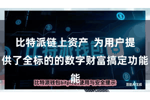 比特派链上资产  为用户提供了全标的的数字财富搞定功能